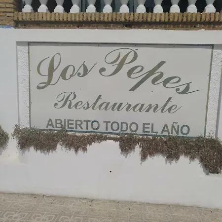 Naturaleza Virgen Matalascanas